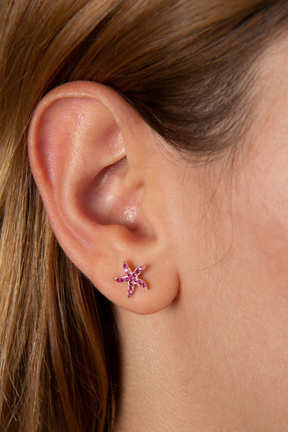 Women's 925 Sterling Silver Star Earrings