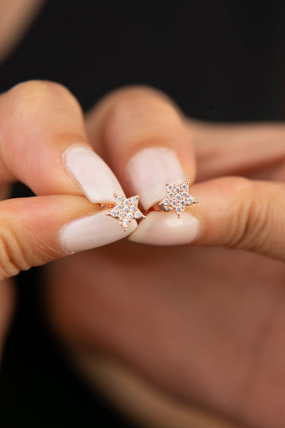 Women's Star Model Rose Plated 925 Sterling Silver Earrings