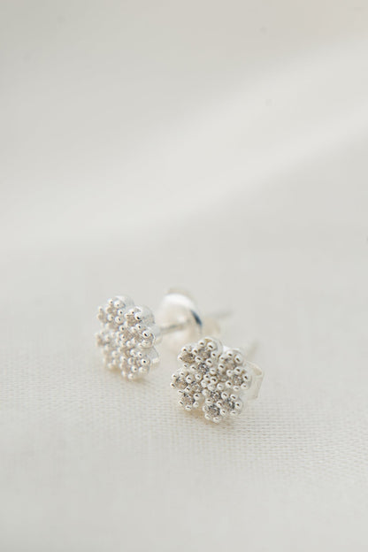 Women's Flower Model 925 Sterling Silver Earrings