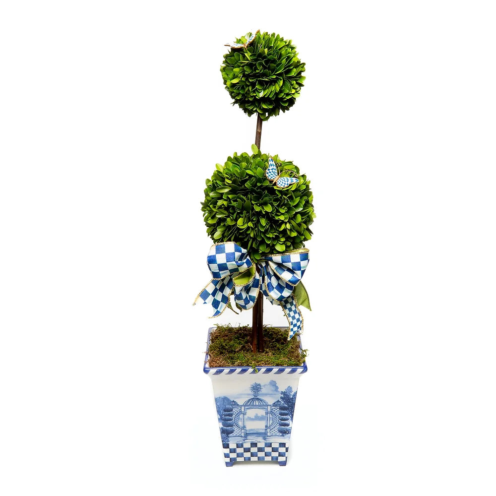 Royal Boxwood Topiary - Tall